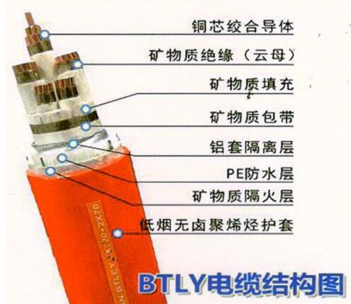 BTLY电缆结构图