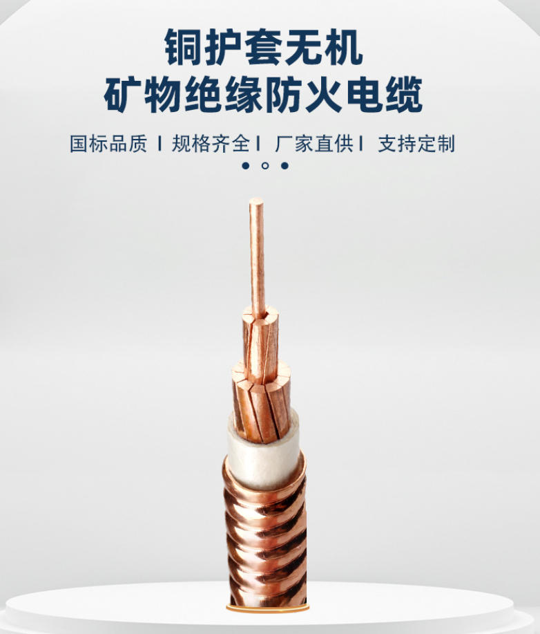 特种电缆