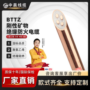 BTTZ防火电缆
